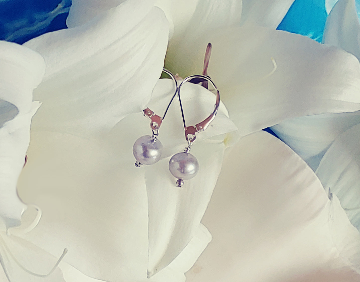 Silver lever back fresh water pearl drop earrings